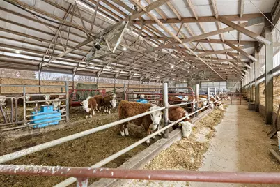 2435 50th Avenue, Elk Mound, WI 54739 - Photo 38