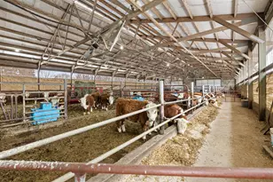 2435 50th Ave, Elk Mound, WI 54739 - Photo 38