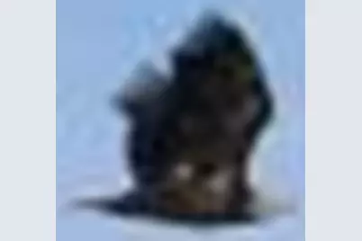 20779 Kiowa Street NW, Oak Grove, MN 55303 - Photo 4