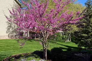 2257 Mahogany Way, Eagan, MN 55122 - Photo 62