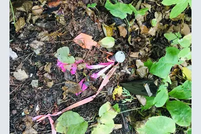 Xxx Big Cedar Trl, Lutsen Township, MN 55612 - Photo 8