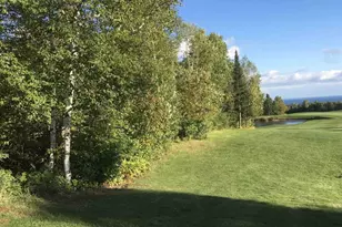 Xxx Big Cedar Trail, Lutsen Township, MN 55612 - Photo 1