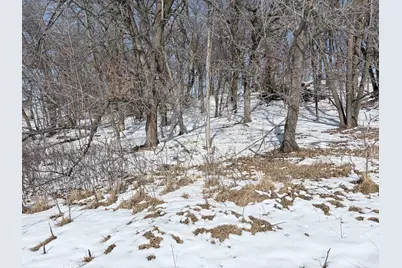 798 S Shore Drive, Detroit Lakes, MN 56501 - Photo 8