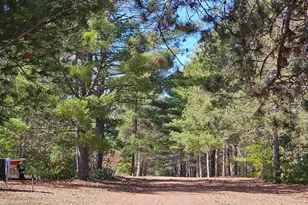 30270 N Nicaboyne Lake Rd, Danbury, WI 54830 - Photo 10