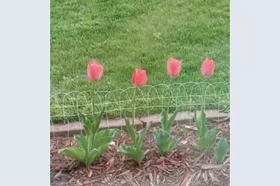 718 Stearns Avenue, Paynesville, MN 56362 - Photo 20