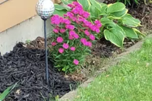 718 Stearns Ave, Paynesville, MN 56362 - Photo 52