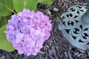 718 Stearns Ave, Paynesville, MN 56362 - Photo 12