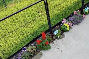 718 Stearns Ave, Paynesville, MN 56362 - Photo 10