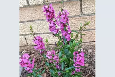 718 Stearns Avenue, Paynesville, MN 56362 - Photo 18