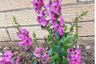 718 Stearns Ave, Paynesville, MN 56362 - Photo 18