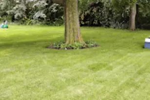 718 Stearns Ave, Paynesville, MN 56362 - Photo 6