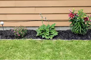 718 Stearns Ave, Paynesville, MN 56362 - Photo 4