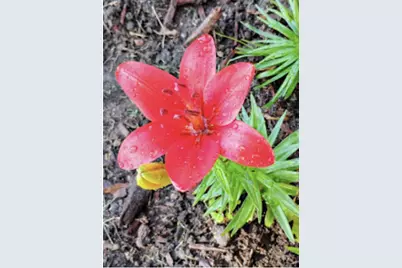 718 Stearns Avenue, Paynesville, MN 56362 - Photo 54