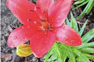 718 Stearns Ave, Paynesville, MN 56362 - Photo 54