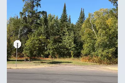 Tbd State Highway 11, Warroad, MN 56763 - Photo 2