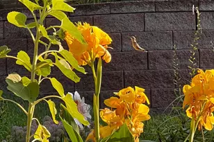 11428 Zion Circle, Bloomington, MN 55437 - Photo 24