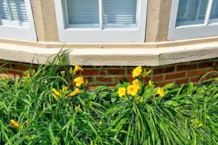 617 W 3rd St, Red Wing, MN 55066 - Photo 46