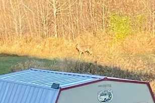 10993 State Hwy 70, Rock Creek, MN 55063 - Photo 38