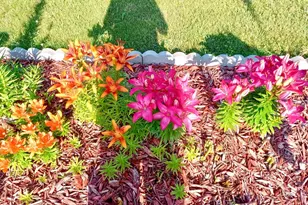 10993 State Hwy 70, Rock Creek, MN 55063 - Photo 36