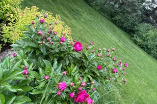 9983 Arcola Ct N, Stillwater, MN 55082 - Photo 44