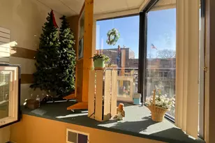 136 S Broadway, Wells, MN 56097 - Photo 16