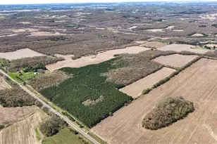 0 Hwy 93, Eleva, WI 54738 - Photo 1