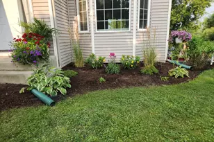 426 Dillon Ave N, Montrose, MN 55363 - Photo 64