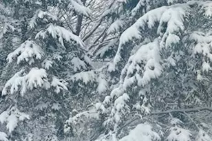 17135 200 St, Lake Park, MN 56554 - Photo 38