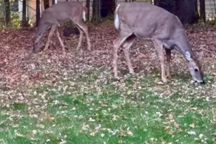 17135 200 St, Lake Park, MN 56554 - Photo 34