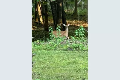 17135 200th Street, Lake Park, MN 56554 - Photo 36