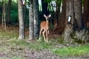 17135 200 St, Lake Park, MN 56554 - Photo 36