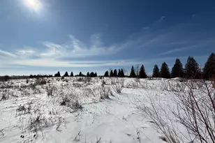 59259 140th St, Litchfield, MN 55355 - Photo 48