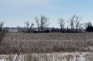 59259 140th St, Litchfield, MN 55355 - Photo 50