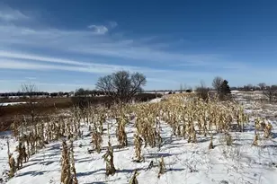 59259 140th St, Litchfield, MN 55355 - Photo 44