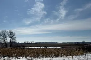 59259 140th St, Litchfield, MN 55355 - Photo 46