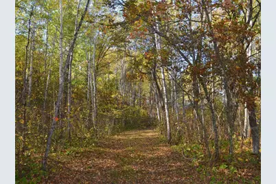 Tbd County 14, Park Rapids, MN 56470 - Photo 8