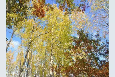 Tbd County 14, Park Rapids, MN 56470 - Photo 10