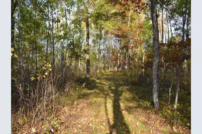 Tbd County 14, Park Rapids, MN 56470 - Photo 12