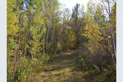 Tbd County 14, Park Rapids, MN 56470 - Photo 6