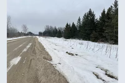 Tbd County Road 31, Northome, MN 56661 - Photo 4