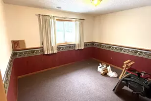 580 Simon Ave W, Dassel, MN 55325 - Photo 20