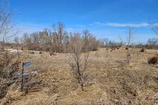 20492 175th St, Richmond, MN 56368 - Photo 1