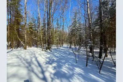 72Xx E Central Lakes Road Lot A, Eveleth, MN 55734 - Photo 28