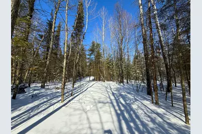 72Xx E Central Lakes Road Lot A, Eveleth, MN 55734 - Photo 4