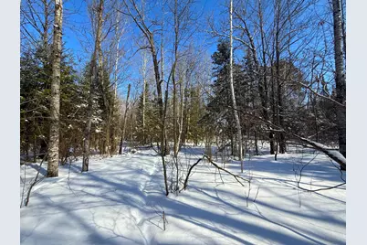 72Xxx E Central Lakes Road Lot B, Eveleth, MN 55734 - Photo 28