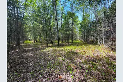 72Xxx E Central Lakes Road Lot C, Eveleth, MN 55734 - Photo 18