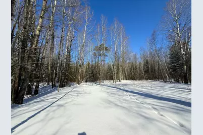 72Xxx E Central Lakes Road Lot C, Eveleth, MN 55734 - Photo 10