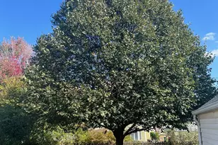 6233 Irving Ave S, Richfield, MN 55423 - Photo 28