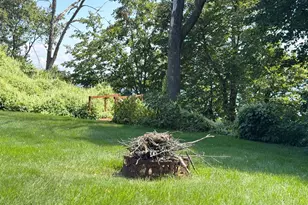 44205 Conifer St, Aitkin, MN 56431 - Photo 60