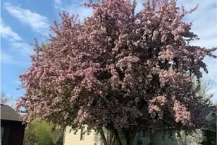 16229 Graben Ct, Eden Prairie, MN 55346 - Photo 28